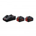 Pack 2 Baterías BOSCH ProCore 18V 8.0Ah + Cargador BOSCH GAL 18V-160