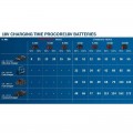 Pack 2 Baterías BOSCH ProCore 18V 8.0Ah + Cargador BOSCH GAL 18V-160
