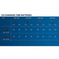 Batería de litio BOSCH GBA 12V 2.0Ah - 1600Z0002X