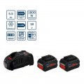 Pack 2 Baterías BOSCH ProCore 18V 5.5Ah + Cargador BOSCH GAL 1880 CV