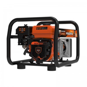 Generador Eléctrico Gasolina GENERGY VELETA 2200W 230V