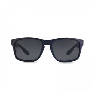 Gafa de seguridad solar polarizada PEGASO BULLDOG, montura negra y polarizado gris - 193.01